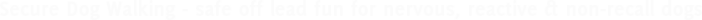 www.securedogwalking.co.uk Logo